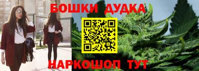 apvp Гатчина
