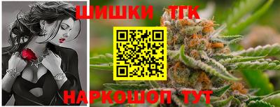 apvp Гатчина