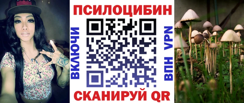 Галлюциногенные грибы Psilocybe  omg сайт  Рассказово  наркошоп 