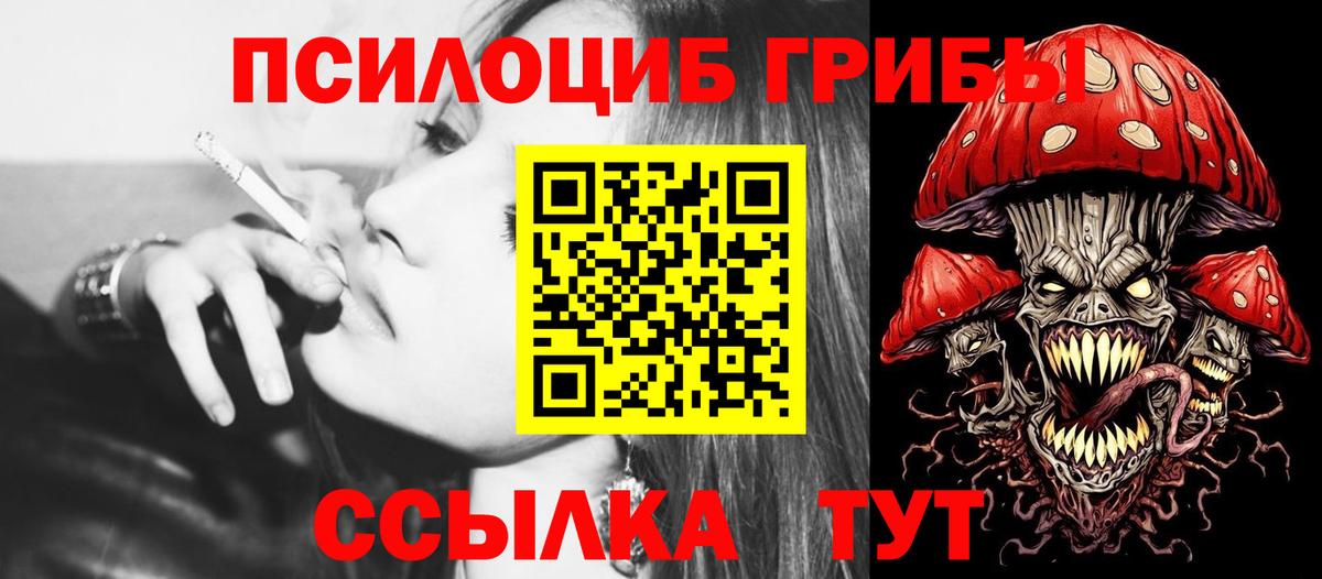 Рассказово  Псилоцибиновые грибы мухоморы  Вход с VPN 